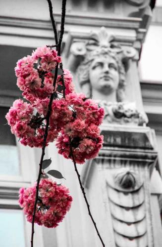 030-2017-A.-Behr-IMG 2121-1v3