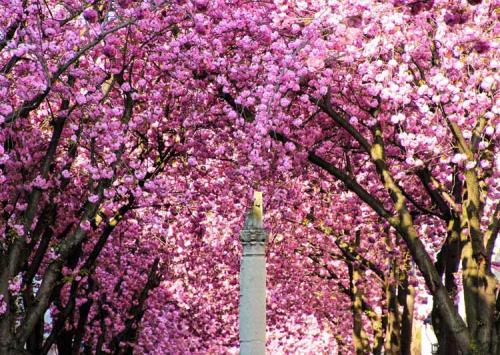 032-2017-A.-Behr-IMG 2045-2-3v3