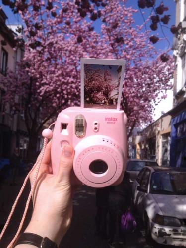 046-2017-R.L.-Franke-1v1