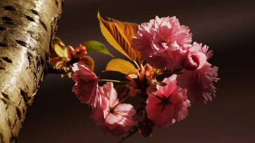 067-2017-H.J.Breuer-DSC02749-Kopie-2-1v3