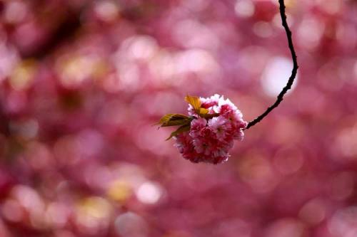 074-2017-W.Braschczok-3v3