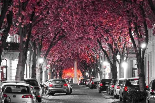 079-2017-T.schäfer-1v3