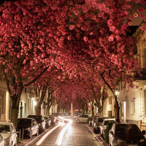 088-2017-K.Wagner-1v1