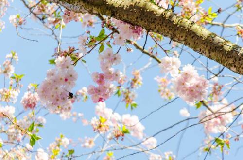 090-2017-Chr.Wenzel 2v3