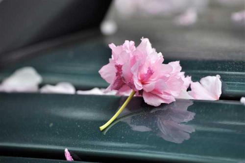 143-2017-D.Inden-3v3