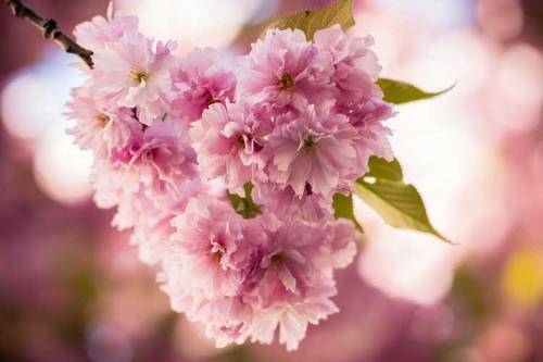 147-2017-Chr.Lingstädt-1v3