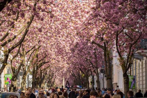 148-2017-Chr.Lingstädt-2v3