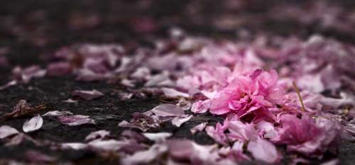 168-2017-H.Bennemann-1v1