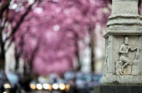 191-2017-F.Femerey-2v2