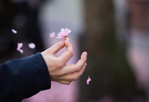 218-2017-Th.Klima-2v3