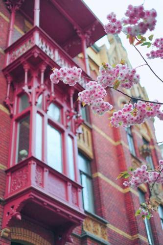 318-2017-Yang-Jun-3v3