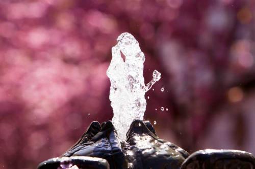 342-2017-W.Hoppe-1v1