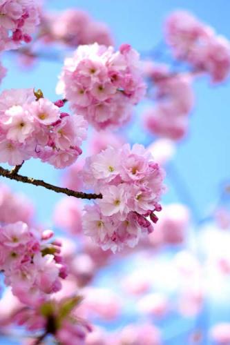 348-2017-Chr.Krämer-1v3