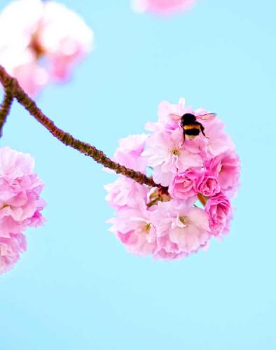 349-2017-Chr.Krämer-2v3