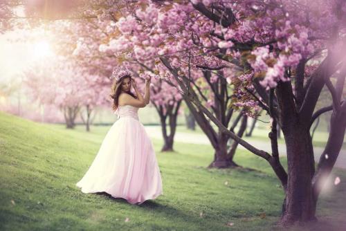 357-2017-V.Gebhart-1v1