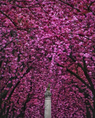 365-2017-J.Schmoldt-1v1