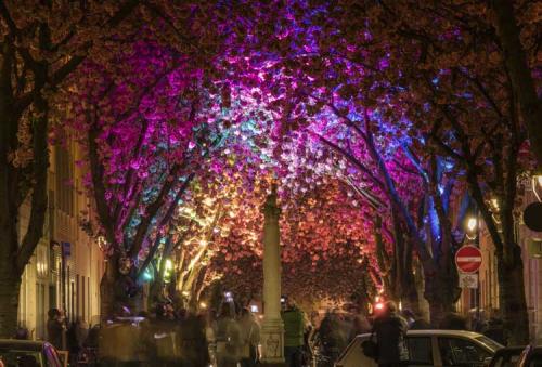 379-2017-Jason-Wu-1v1