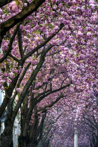 392-2017-A.Tegtmeier-3v3