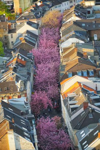 097-M.Baumgarten-2018-wett-3