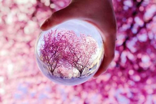 103-D.Johann-2018-wett-2018-04-18-17-38-42-664