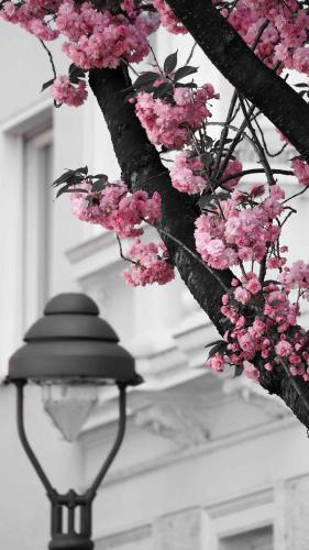 120-B.Matthes-2018-wett-2