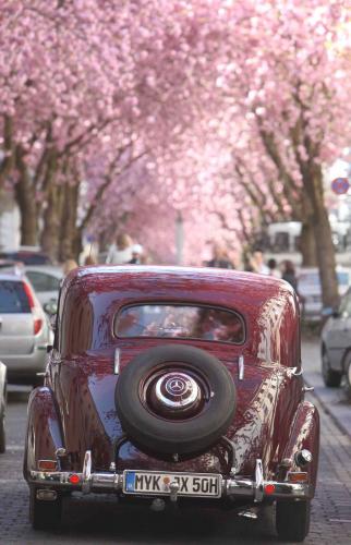 182-Qu.Broehl-2018-wett-1