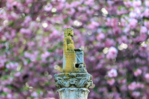 209-C.Cramer-2018-wett-1