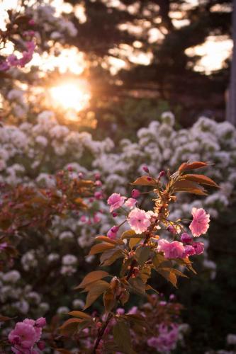 220-D.Thorweih-2018-wett-IMG 8212-160417