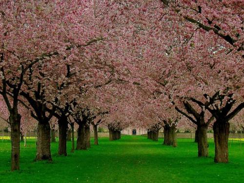 242-U.Liebe-2018-wett-1