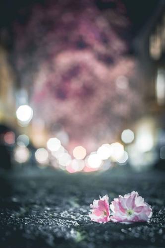 289-Ph.Wildfeuer-2018-wett-2