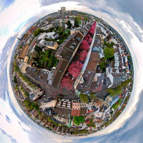 302-O.-Senholdt-2018-wett-3