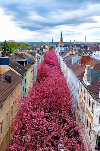 304-O.-Senholdt-2018-wett-1