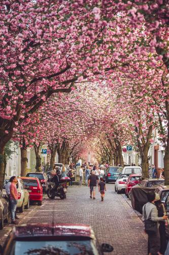 315-L.Thomas-2018-wett-1