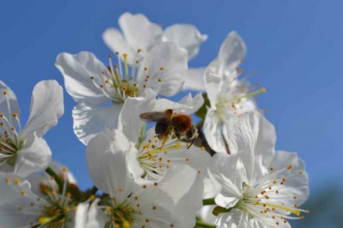 334-D.Klein-2018-wett-1