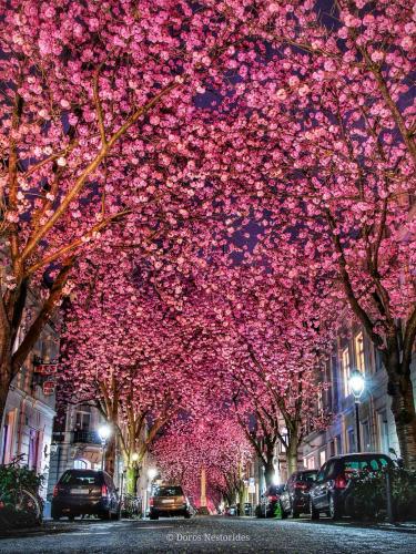 344-D.Nestorides-2018-wett-2