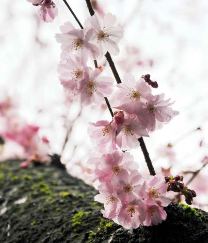 361-M.Zeuner-2018-wett-1