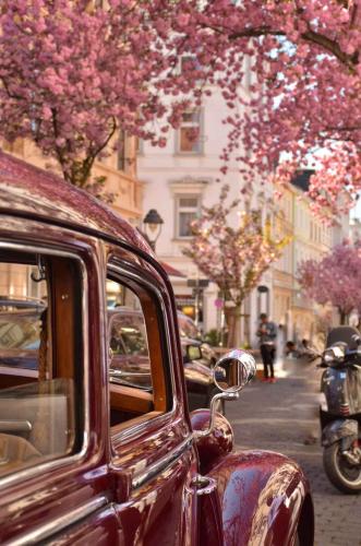 375-C.Plümacher-2018-wett-DSC 0792-02