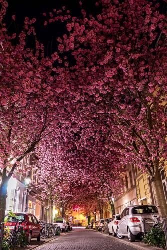 499-H.Hong-2018-wett-3