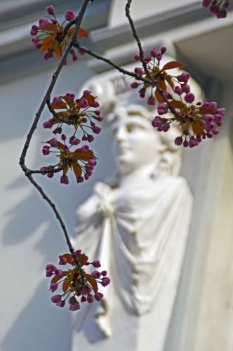 553-R.Löffler-2018-wett-1