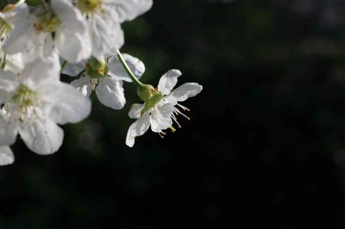 616-F.Feldmann-2018-wett-3