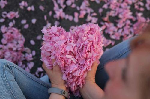 625-A.Isaak-2018-wett-3