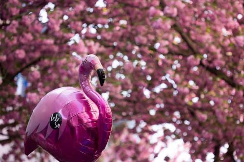 349-L.Blum-2018-wett-1