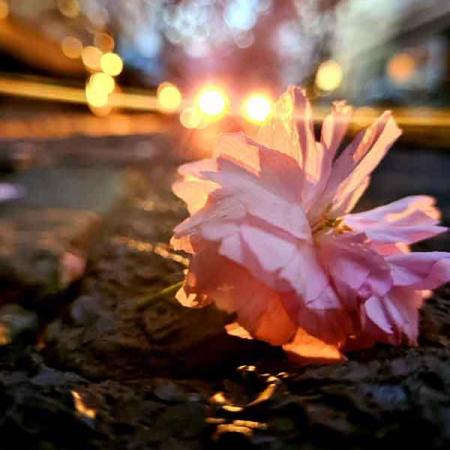 002-2020-B.Krebs-1v3(1)