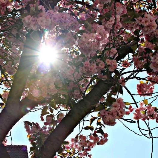 005-2020-K.Greßhoff-2v3