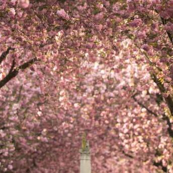 2. Platz-D.Arvando-1v3