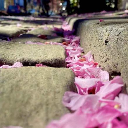 007-2020-St.Schaerer-1v3