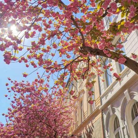 022-2020-F.Maretzke-1v3