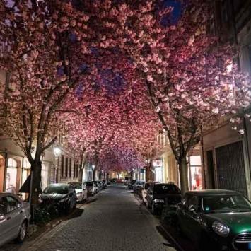 Gutschein Love your Local-023-2020-Chr.Vogel-1v3