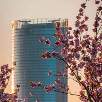 023-2020-Chr.Vogel-2v3