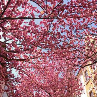 Gutschein Wilde Zeiten-027-2020-E.Schittenhelm-3v3(1)